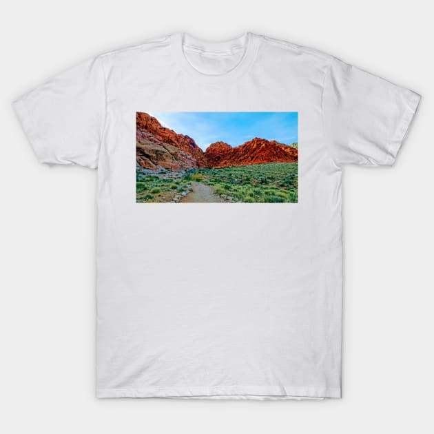 Red Rock Calico Basin 3 T-Shirt by Rodwilliams